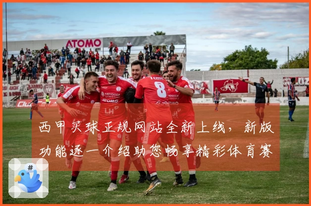 西甲买球正规网站全新上线，新版功能逐一介绍助您畅享精彩体育赛事