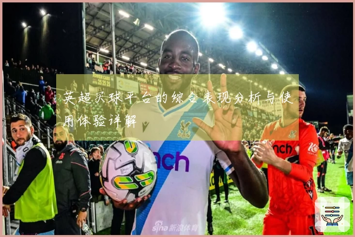 英超买球平台的综合表现分析与使用体验详解