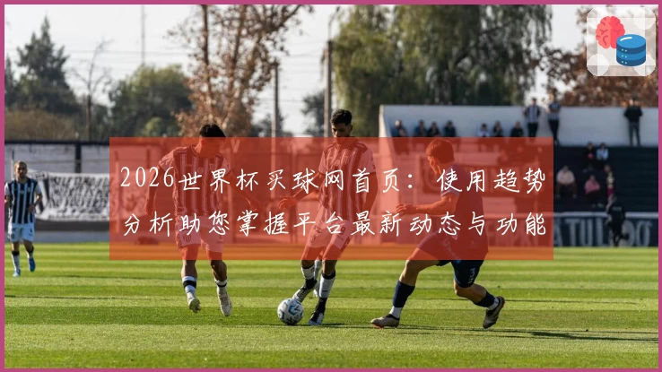 2026世界杯买球网首页：使用趋势分析助您掌握平台最新动态与功能